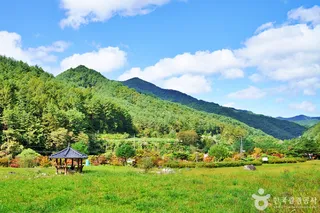 일월산 자생화공원