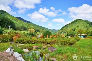 일월산 자생화공원