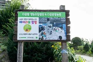 아이러브팜핑