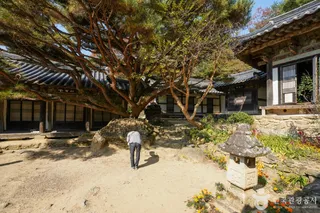 봉정사영산암