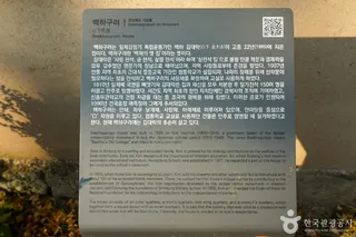 백하구려