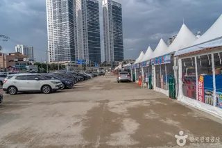 동명항오징어난전