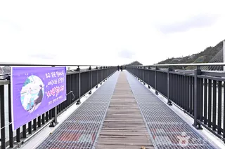 장자교 스카이워크