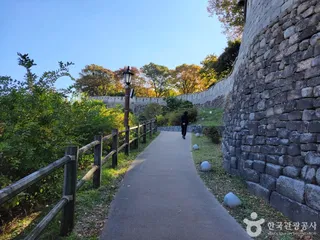 장수마을