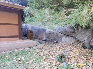 비우당