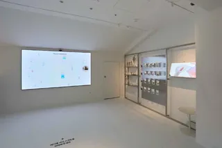 금성전파사