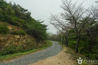 [서산 아라메길] 삼길 나루길