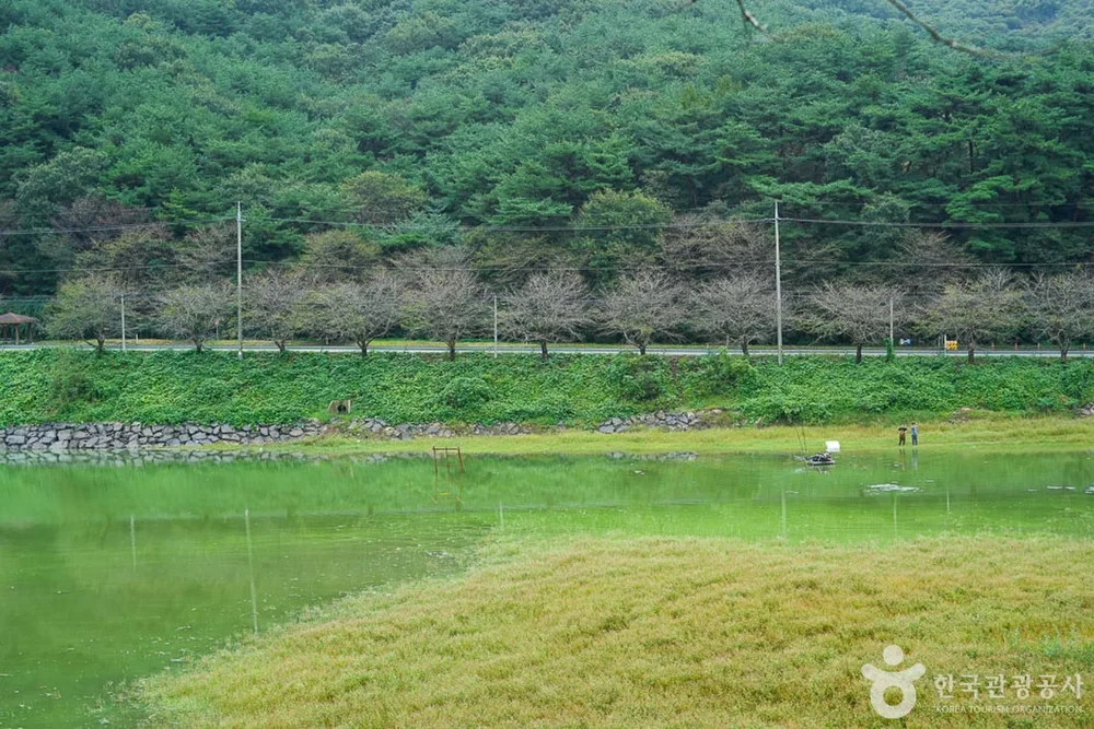 고남 저수지