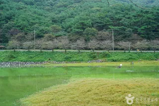 고남 저수지