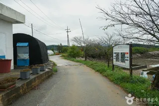 [서산 아라메길] 구도 범머리길