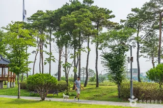 도솔광장