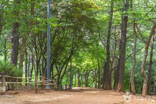 성정공원