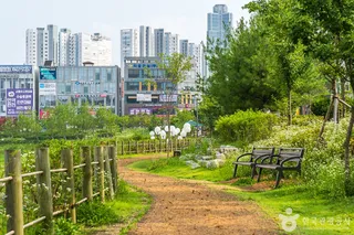 물총새공원
