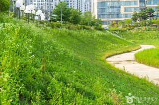 물총새공원