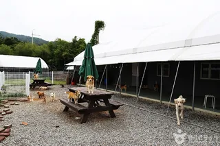 주주팜 동물농장