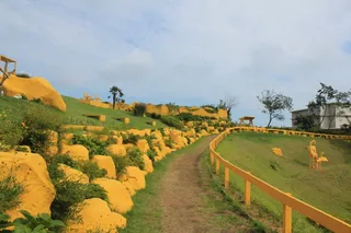 노랑버덩