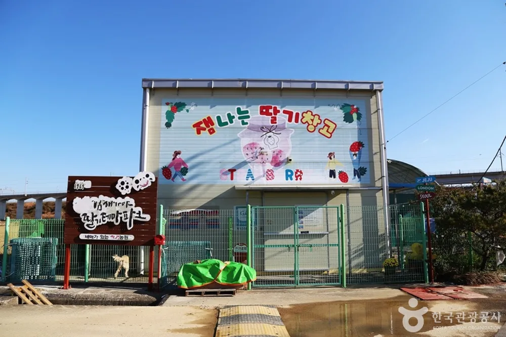 김해가야딸기테마파크