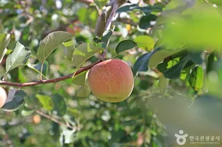 얼음골사람들