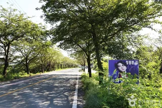 정동원길