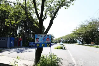 정동원길