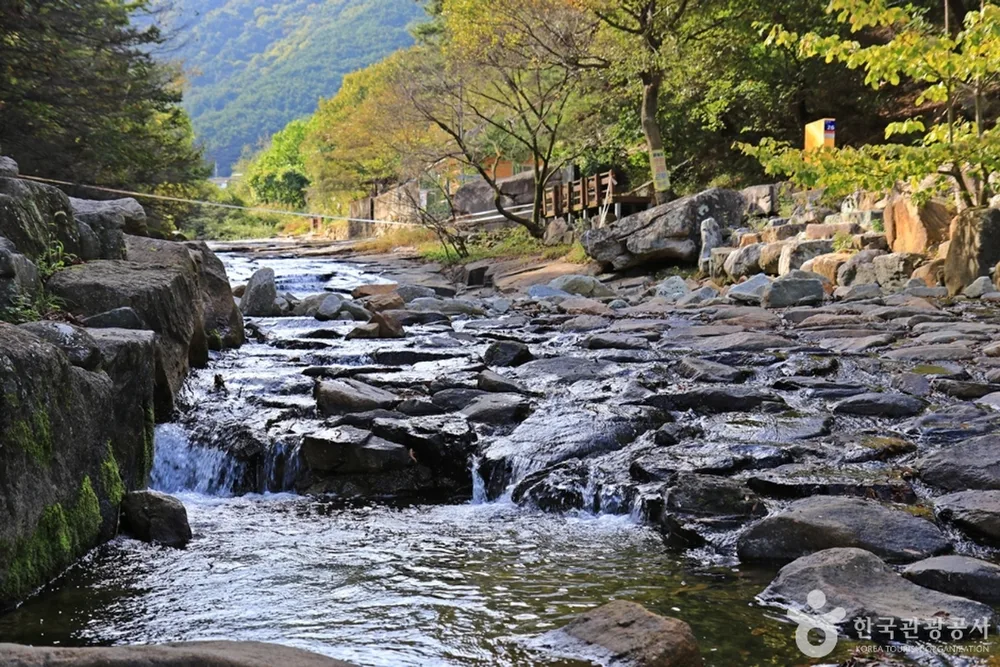 별천계곡