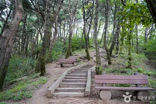 한티재