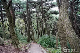 한티재