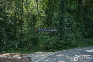톰아저씨 트리하우스
