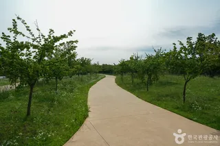 경인아라뱃길 매화동산