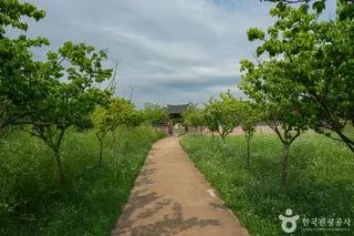 경인아라뱃길 매화동산