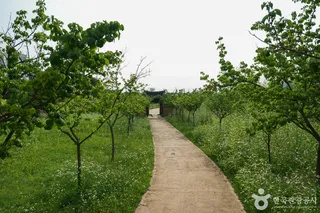 경인아라뱃길 매화동산