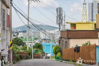 옥단이길