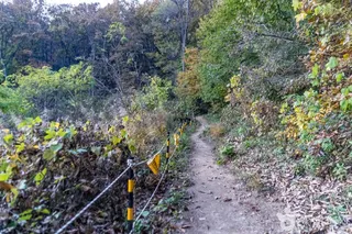 배부른산
