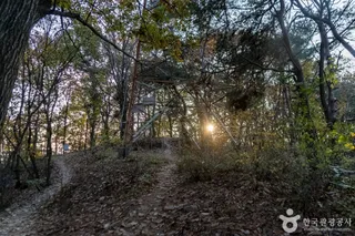 배부른산