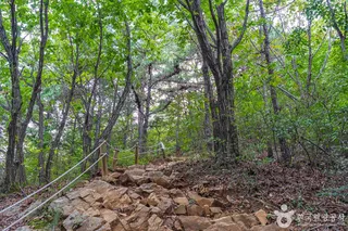 양성산