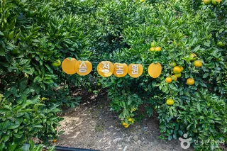 제주송정농원