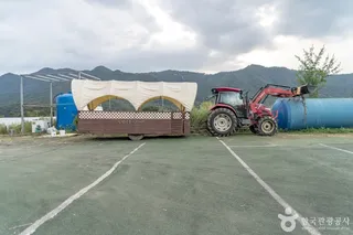 늘푸른체험농원
