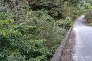 상해계곡