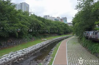 무거천 벚꽃길