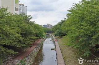 무거천 벚꽃길