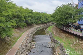무거천 벚꽃길