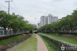 무거천 벚꽃길