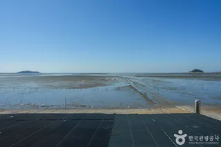 마시안갯벌체험장