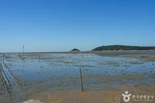 마시안갯벌체험장