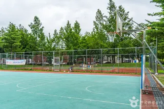 대가미체육공원