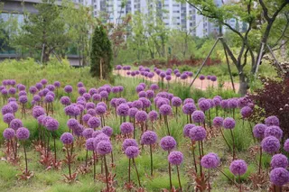 일월수목원