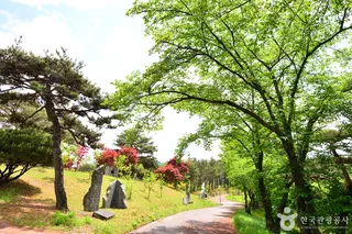 장성호 문화예술공원