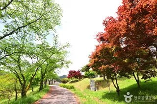 장성호 문화예술공원