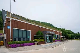 약산 해안 치유의 숲