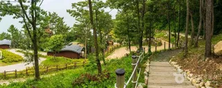 약산 해안 치유의 숲